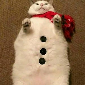 Meet your Posher, Michaela